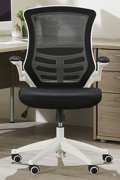 Ergo Mesh Chair