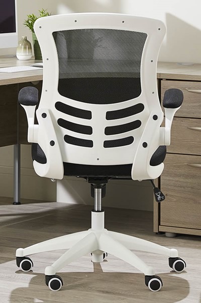 Ergo Mesh Chair