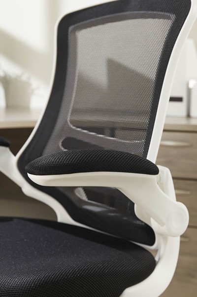 Ergo Mesh Chair