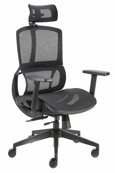 Mesh Ergonomic High Back Office Office Chair With Adjustable