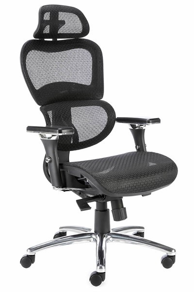 Chachi Ergonomic Chair