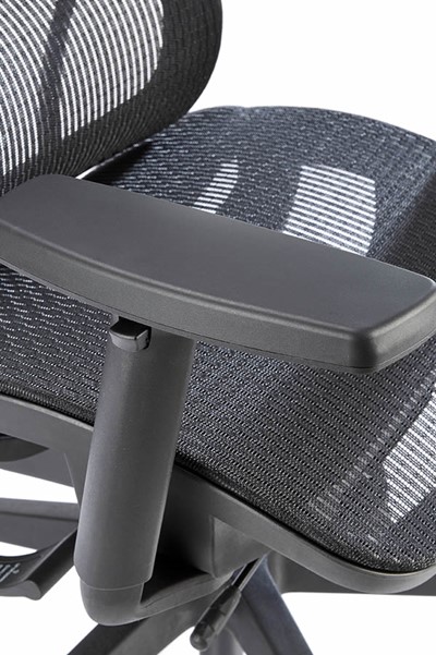 Chachi Ergonomic Chair