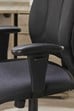 Esme Ergonomic Fabric Office Chair