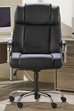 Poseidon Bariatric Chair