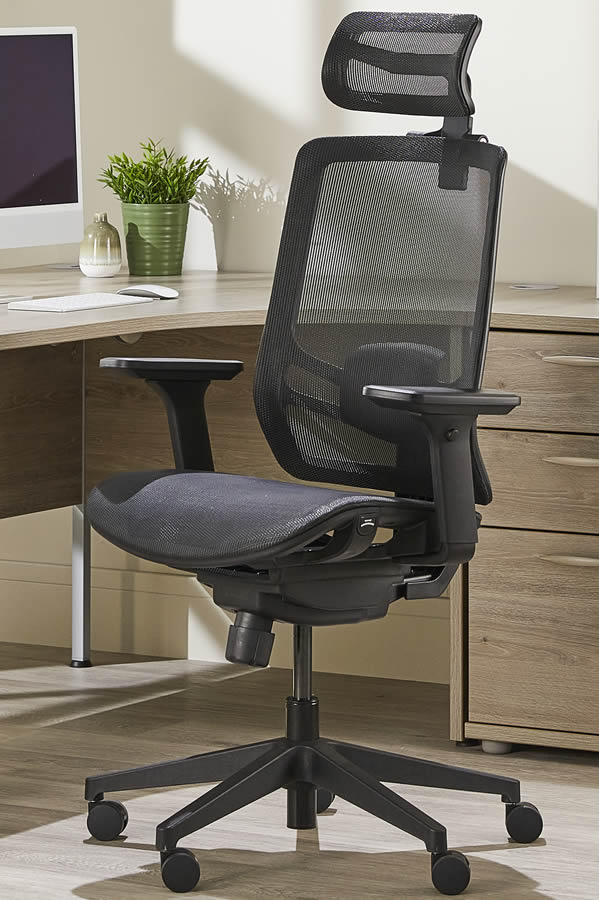 View Ergo Twist High Back Mesh Ergonomic Chair Airflow Height Adjustable Seat Breathable Mesh Backrest Height Adjustable Headrest Adjustable Arms information