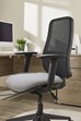 Sammie Mesh High Back Office Chair