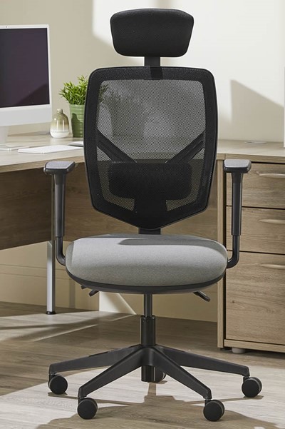 Ergo Fix Mesh High Back Office Chair