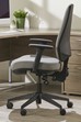 Ergo Flex Ergonomic Chair