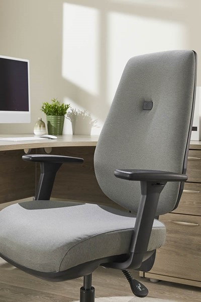 Ergo Flex Ergonomic Chair