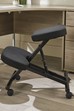 Posture Max Steel Kneeling Chair