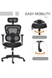 Wave Ergonomic Mesh Office Chair