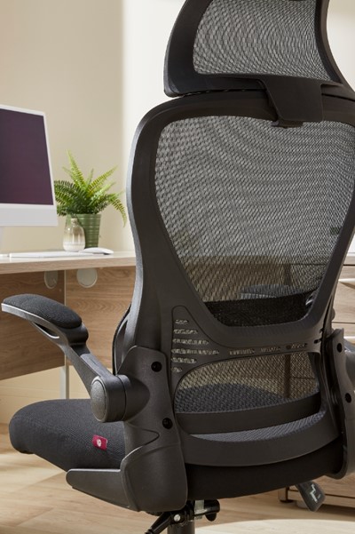 Canis High Back Folding Arm Mesh Office Chair