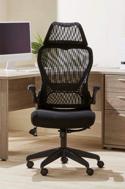 Canis High Back Folding Arm Mesh Office Chair