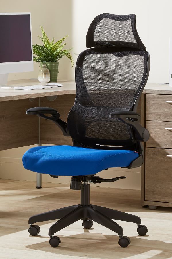 View High Back Ergonomic Mesh Office Computer Chair With Headrest Flip Up Folding Arms Tilt Reclining Backrest Modern Mesh Home Desk Chair Canis information