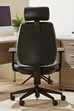 Ergo Performance Office Chair