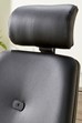 Ergo Performance Office Chair