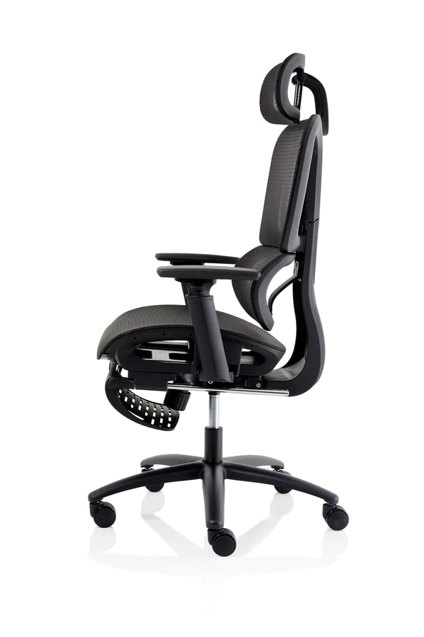 Ergonomic Mesh High Back Office Chair Telescopic Footrest Horizon
