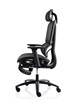 Horizon Mesh Office Chair