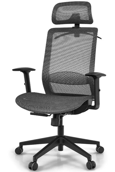 Belleville Ergonomic Mesh Office Chair