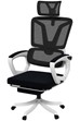 Burnaby Ergonomic Mesh Office Chair