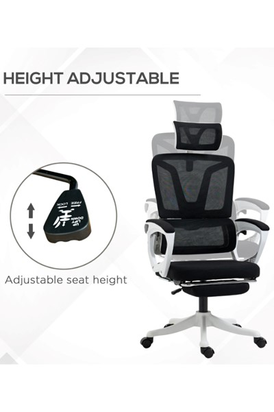 Burnaby Ergonomic Mesh Office Chair