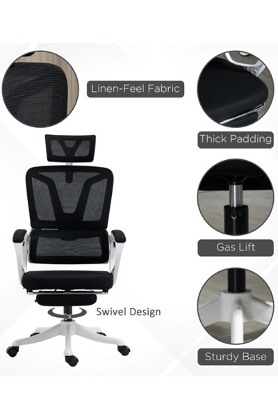 Burnaby Ergonomic Mesh Office Chair