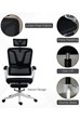 Burnaby Ergonomic Mesh Office Chair