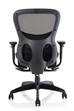 Shadow Mesh Office Chair