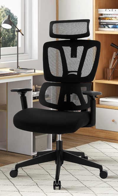 Orillia Ergonomic Mesh Office Chair
