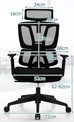 Orillia Ergonomic Mesh Office Chair