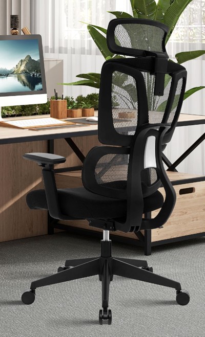 Orillia Ergonomic Mesh Office Chair