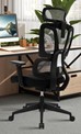 Orillia Ergonomic Mesh Office Chair