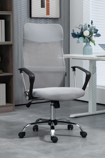 Evolve Mesh Office Chair