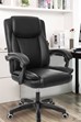 Stanningfield Executive Office Chair