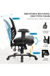 Marham Mesh Office Chair