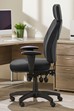 Jupiter Ergonomic Office Chair