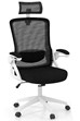 Colton Ergonomic Mesh Office Chair