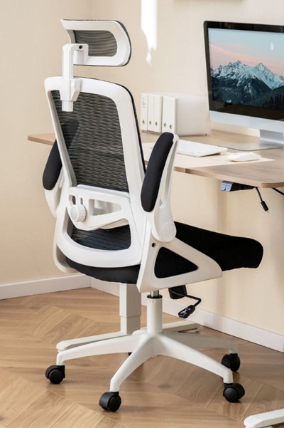 Colton Ergonomic Mesh Office Chair