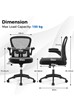 Louisiana Mesh Office Chair