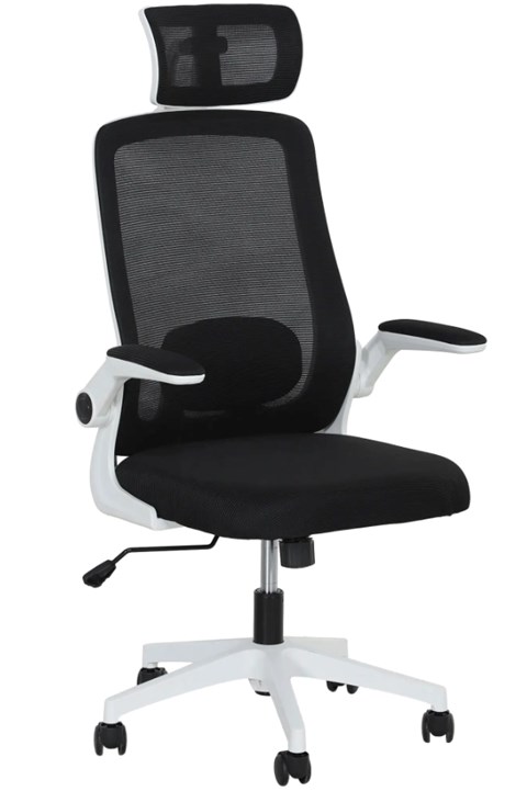 Cole Ergonomic Mesh Office Chair