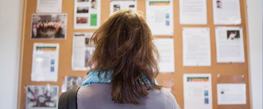 What is a Noticeboard? A Comprehensive Guide
