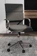 Zarae Executive Office Chair