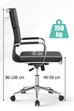 Zarae Executive Office Chair