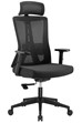Oxford Ergonomic Mesh Office Chair