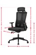 Oxford Ergonomic Mesh Office Chair