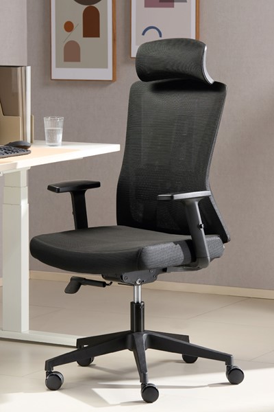 Oxford Ergonomic Mesh Office Chair