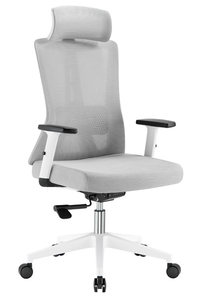 Oxford Ergonomic Mesh Office Chair