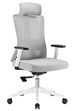 Oxford Ergonomic Mesh Office Chair