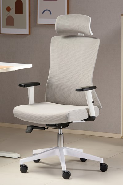 Oxford Ergonomic Mesh Office Chair