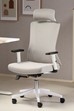 Oxford Ergonomic Mesh Office Chair
